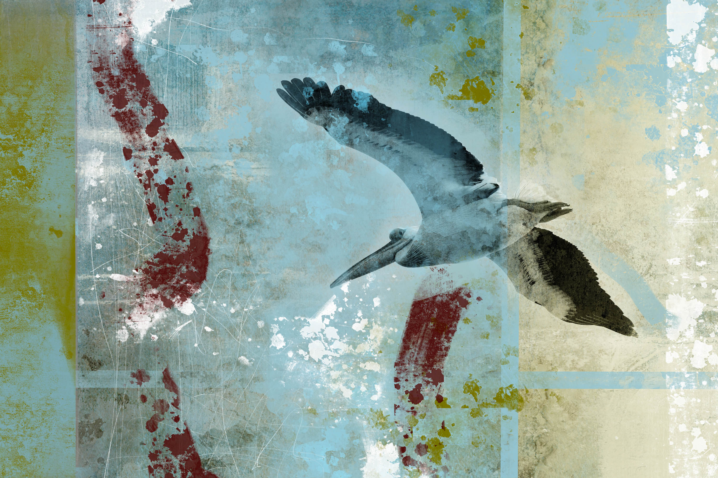 Senegal Www dieter nuhr de