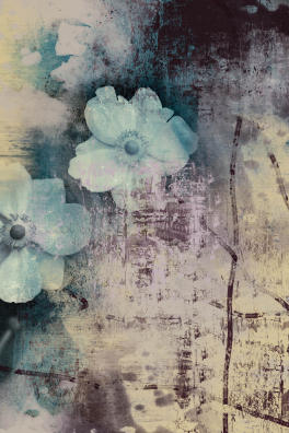 Japan-Anemone 02