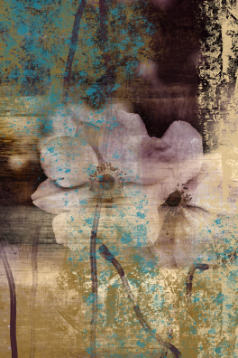Japan-Anemone 03