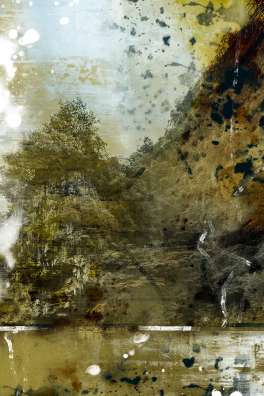 Paramnesie (Malaysia Regenwald) 02