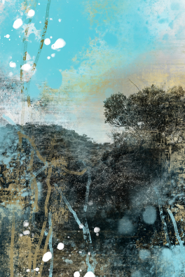 Paramnesie (Malaysia Regenwald) 03